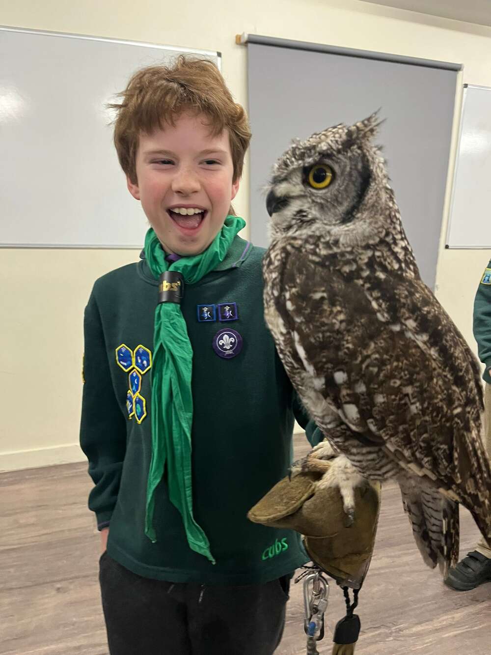 Cubs meet some Owls